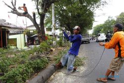 FOTO TAMAN KOTA SOLO : Pohon Rapuh Dipotong Jelang Penghujan