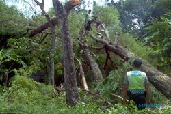 ANGIN KENCANG BOYOLALI : 33 Rumah di Wonosegoro Rusak Diterjang Angin Ribut