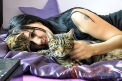 KISAH UNIK : Frustrasi Karena Cinta, Wanita Ini Pilih Nikahi Dua Kucingnya