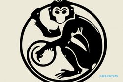 RAMALAN SHIO 2015 : Deretan Masalah Shio Monyet di Tahun Kambing Kayu