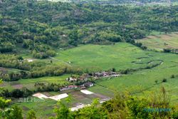 Foto Panorama Eksotis dari Puncak Bukit Pandeyan