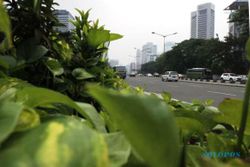 FOTO LIBUR AKHIR TAHUN : Lalu Lintas di Jalanan Jakarta Lengang