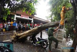 ANGIN KENCANG SOLO : Angin Tumbangkan Pohon, Motor Pedagang Depok Tertimpa