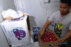 APEL BERBAKTERI : Apel Impor Dilarang, Pedagang Indonesia Untung