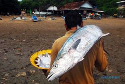 Nelayan Bantul Ini Bisa Bawa Pulang Rp5 Juta Hanya Sehari