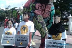 Aktivis Desak Pembebasan 'Shinta dan Natasya' dari GL-Zoo