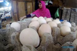 Harga Cabai Rawit Merah di Sukoharjo Anjlok, Ganti Telur dan Daging Ayam yang Naik
