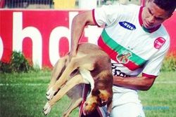 KISAH TRAGIS : Pemain Ini Digigit Anjing saat Bertanding Sepak Bola