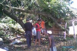 ANGIN KENCANG SRAGEN : 2 Rumah di Gunung Kemukus Rusak Tertimpa Pohon