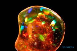 DEMAM BATU AKIK : Fire Opal Wonogiri Gemparkan Jagad Batu Mulia