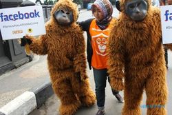 FOTO ANIMALS INDONESIA Beraksi di Balai Kota Malang