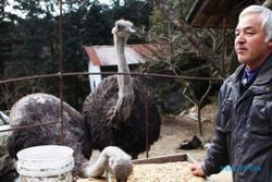 KISAH INSPIRATIF : Pria Ini Rawat Hewan di Fukushima yang Ditinggalkan Penduduknya