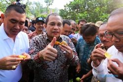 FOTO DESA WISATA : Menteri PDTT Nikmati Jeruk di Malang