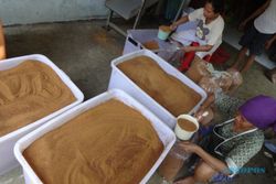 UMKM KULONPROGO : Bermanfaat untuk Kesehatan, Buyer Asing Minati Gula Semut