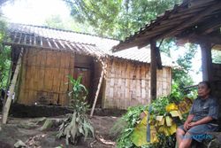 KISAH TRAGIS : Rumah Nyaris Ambruk, Nenek di Klaten Ini Jual Anjingnya