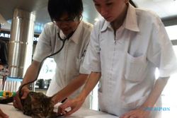 FOTO INTERNATIONAL CAT SHOW : Cantiknya Kucing di The Park Mall