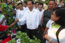AGENDA PRESIDEN : Di Sela 2 Kunker, Jokowi Pulang ke Solo