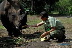 TAMAN SAFARI INDONESIA PRIGEN : Ingin Tahu Kisah di Balik Para Sahabat Binatang Taman Safari?