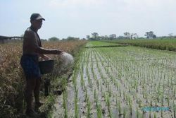 ASURANSI PERTANIAN : Pemkab Magetan Gandeng Jasindo Sosialisasikan Asuransi Pertanian