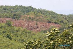 PEMBALAKAN LIAR : Warga Tebangi Pohon di Tanah Sultan