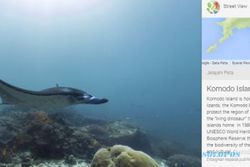 Hore, Google Maps Tambah Gambar Street View Bawah Laut Indonesia!