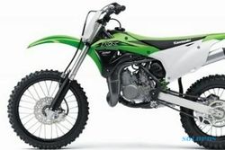 SEPEDA MOTOR TRAIL : Kawasaki dan Viar Luncurkan Trail Mini 100 cc