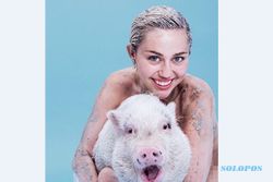 KABAR ARTIS : Lesbian, Miley Cyrus Tak Bisa Menahan Perasaan Cinta