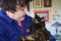 HASIL PENELITIAN : Hati-Hati, Sering Peluk Kucing Bisa Sebabkan Kematian