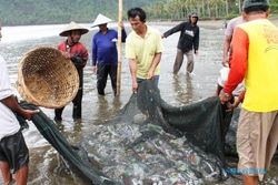 FOTO PANTAI CENGKRONG : Cuaca Tak Menentu, Nelayan Tak Melaut