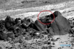 FENOMENA ALIEN : Majalah UFO Sebut Kendaraan NASA Rekam Alien di Planet Mars