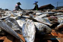 APBD JATENG : Kepala DKP Sebut Anggaran untuk Nelayan Kecil