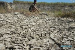 PERTAMBANGAN  KLATEN : Bekas Lahan Galian C Gersang