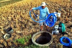 KEKERINGAN SUKOHARJO : 8 Sumur Dibangun Antisipasi Sawah Bera