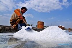 Pabrik Garam Berkualitas Lebih Baik Segera Dibangun di Jateng
