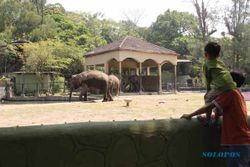 WISATA JOGJA : GL Zoo Targetkan 150.000 Pengunjung