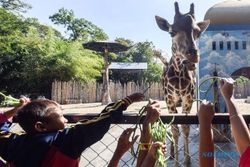 Komisi B DPRD Surabaya Tolak Program Night Zoo KBS, Ganggu Kenyamanan Satwa
