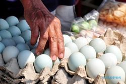 Garam Mahal, Produsen Telur Asin Berhenti Produksi