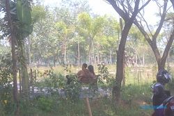 MESUM DI SRAGEN : Waduh, Taman Bunga Ganesha Jadi Ajang Mesum