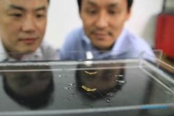 TEKNOLOGI ROBOT : Ilmuwan Bikin Robot Serangga untuk Teliti Kualitas Air