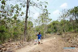 MUSIM KEMARAU : 2.000 Hektare Lahan Terancam Kering