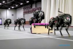 TEKNOLOGI ROBOT : Cheetah dari MIT Kini Mampu Melompat