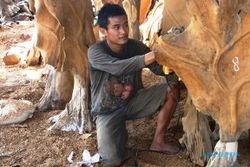 FOTO INDUSTRI MEBEL : Ekspor Mebel Ngawi Lewat Jepara