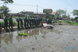 PERTANIAN KLATEN : Luas Tanam Padi Tembus 64.814 Ha