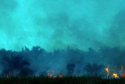 KEBAKARAN GUNUNG : Kebakaran Meluas, Gunung Slamet dan Ciremai Dikepung Api