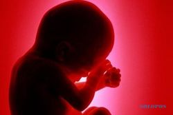  PENEMUAN BAYI BANTUL : Mayat Bayi di Pengklik Baru Berusia 3 Hari