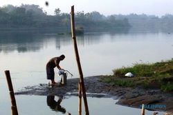FOTO KEMARAU 2015 : Debit Air Sungai Brantas Terus Menyusut