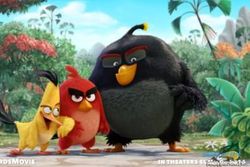FILM TERBARU : Kocak, Trailer Film Angry Bird Meluncur