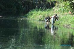 KERUSAKAN LINGKUNGAN BANTUL :  Talut di Sungai Winongo dan Sungai Gajah Wong Ambrol