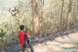 KEBAKARAN KLATEN : 3 Ha Lahan Bukit Jabalakat Terbakar