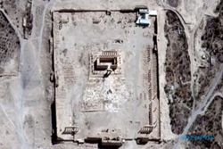 TEROR ISIS : Militer Suriah: ISIS Tanam Bom 50 Kg di Palmyra